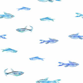 A tenger szerelmeseinek - halacska mintás tapéta fehér alapon kék és zöld színű