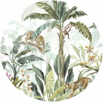 dzsungel-allatokkal-tropusi-falimatrica