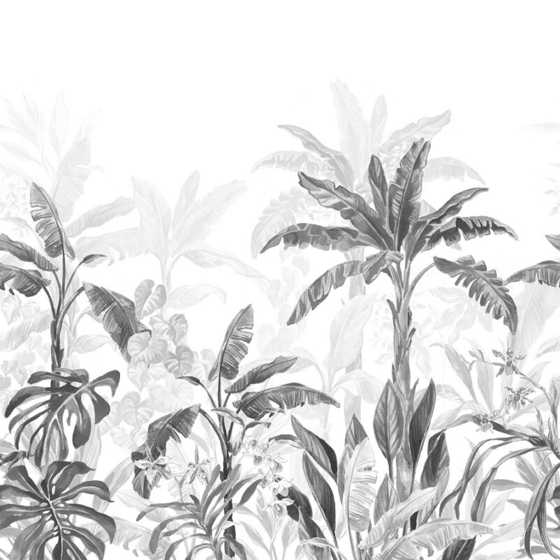 Dzsungel - művészi tervezésű poszter - pálma mintás fekete-fehér