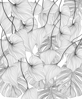 Monstera - levél mintás művészi tervezésű poszter - pálmalevelek fekete-fehér színben - előszoba