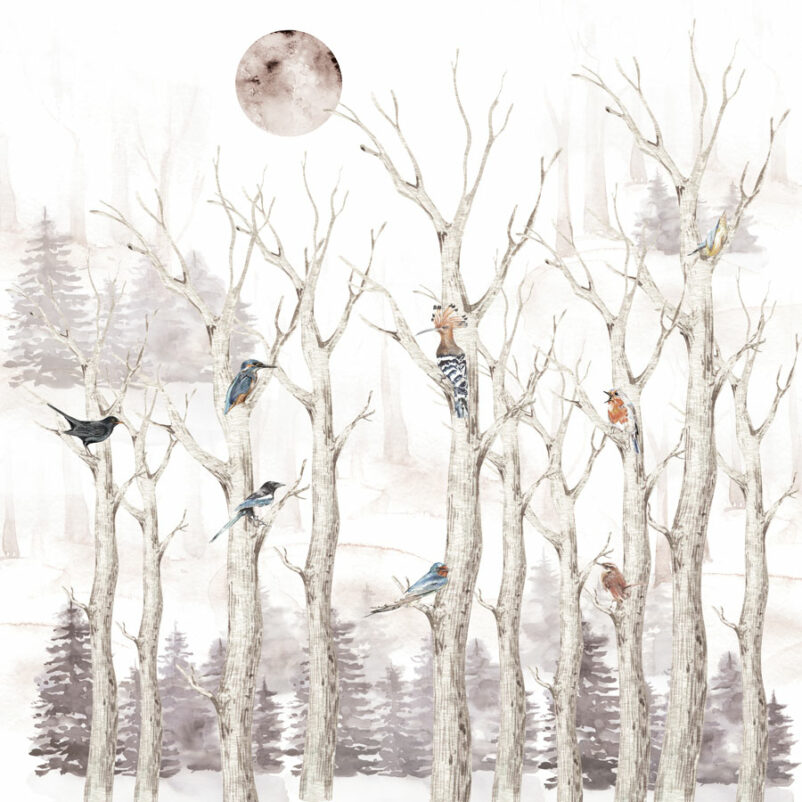 holdfény-erdei-madaras-barna-poszter