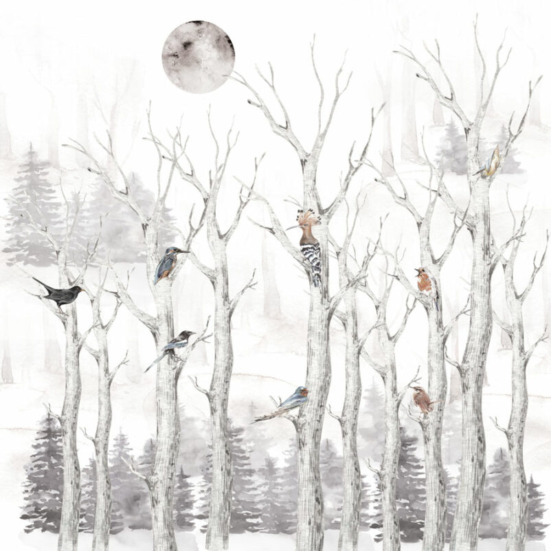 holdfény-erdei-madaras-szürka-poszter