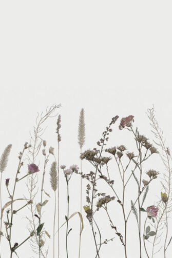 Őszi mező - virág mintás művészi poszter, tapéta - halvány szürke - Falramagyar