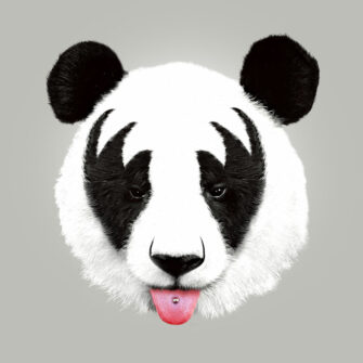 Panda mintás falimatrica