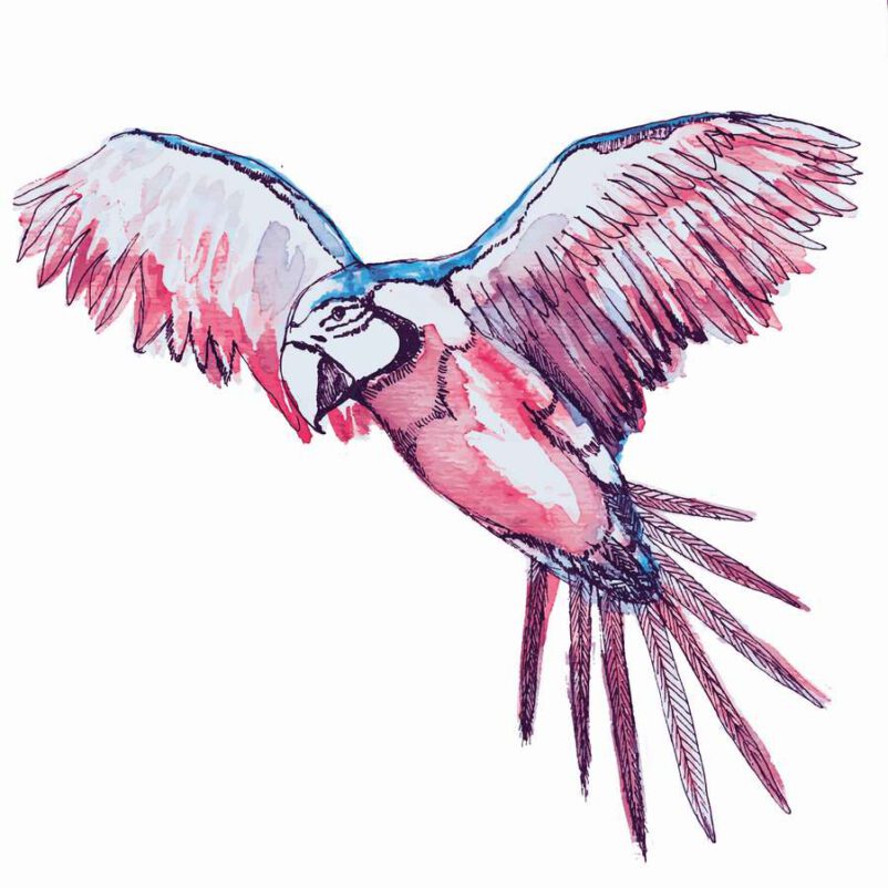 Papagáj mintás falimatrica rózsaszínben