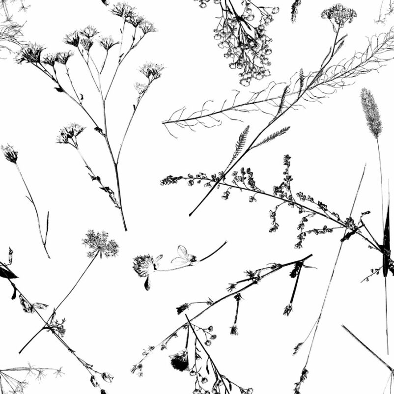 Szárított virágok - virág mintás fekete-fehér tapéta, textil