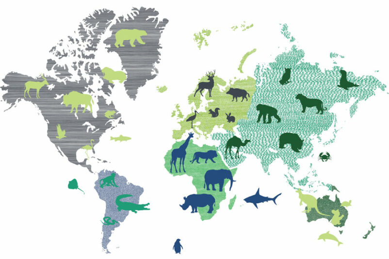 Világtérkép állatokkal - művész tervezésű poszter - szürke-zöld